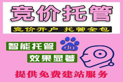 百度竞价广告投放策略案例